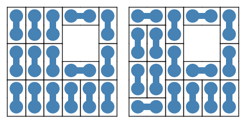 Polyomino tiling: domino tiling